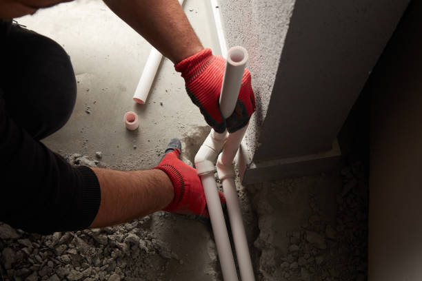 Best Local Plumber Services  in Argos, IN
