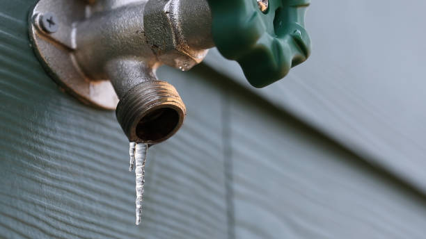 Best Sewer Line Repair  in Argos, IN